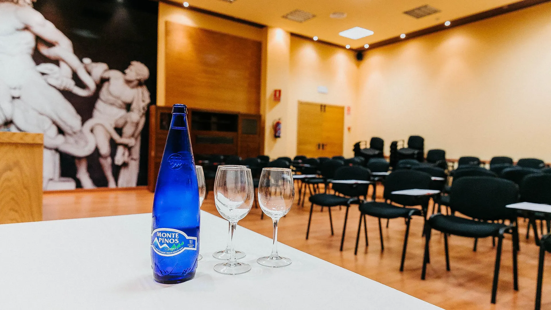 ***  Hotel Malaga Nostrum Airport Španělsko